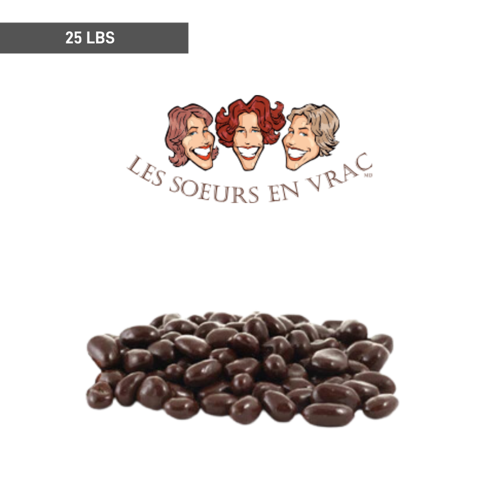Noix Vrac | Raisins Chocolat 25lbs