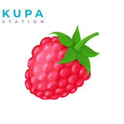 Kupa Station | Raspberry