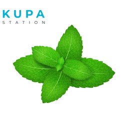 Kupa Station | Menthe